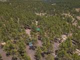 13250 Mountain Meadow - Photo 49
