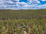 13250 Mountain Meadow - Photo 50