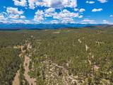 13250 Mountain Meadow - Photo 51
