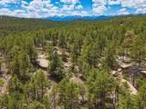13250 Mountain Meadow - Photo 54