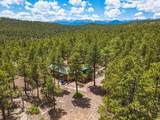 13250 Mountain Meadow - Photo 56