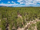 13250 Mountain Meadow - Photo 59