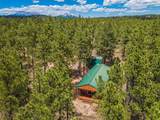 13250 Mountain Meadow - Photo 60