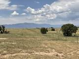 480 Turkey Ridge Rd - Photo 33