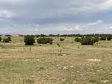 480 Turkey Ridge Rd - Photo 43