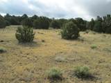 139 River Ridge Ranch - Photo 16