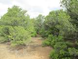 139 River Ridge Ranch - Photo 22