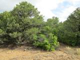 139 River Ridge Ranch - Photo 23