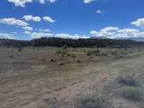 TBD County Road 530 - Photo 8