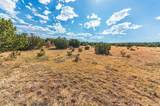 TBD Twin Lake Ranches - Photo 12