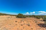 TBD Twin Lake Ranches - Photo 26