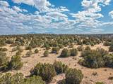 TBD Twin Lake Ranches - Photo 4