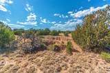 TBD Twin Lake Ranches - Photo 6