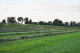 2154 Highway 50 - Photo 1