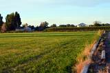 2154 Highway 50 - Photo 34