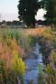 2154 Highway 50 - Photo 36