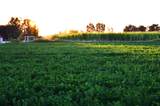 2154 Highway 50 - Photo 4
