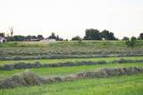 2154 Highway 50 - Photo 6