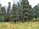 TBD Spanish Peaks Drive - Photo 1