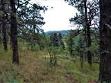 TBD Spanish Peaks Drive - Photo 10