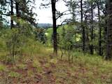 TBD Spanish Peaks Drive - Photo 11