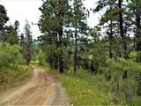 TBD Spanish Peaks Drive - Photo 17