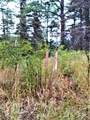 TBD Spanish Peaks Drive - Photo 20