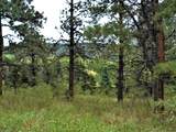 TBD Spanish Peaks Drive - Photo 4