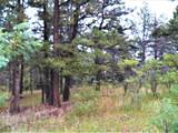 TBD Spanish Peaks Drive - Photo 5