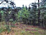 TBD Spanish Peaks Drive - Photo 6
