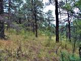 TBD Spanish Peaks Drive - Photo 7