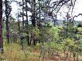 TBD Spanish Peaks Drive - Photo 9