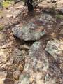  Rancho La Garita Lot 1183 - Photo 10