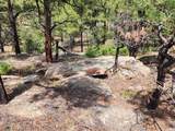  Rancho La Garita Lot 1183 - Photo 11