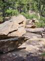  Rancho La Garita Lot 1183 - Photo 13