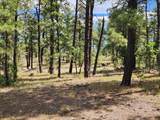  Rancho La Garita Lot 1183 - Photo 4