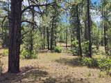  Rancho La Garita Lot 1183 - Photo 5