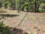  Rancho La Garita Lot 1183 - Photo 6
