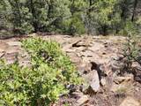  Rancho La Garita Lot 1183 - Photo 9