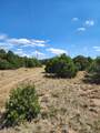 TBD Pinion Ridge Drive - Photo 3