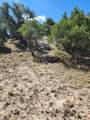 TBD Pinion Ridge Drive - Photo 6