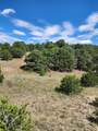 TBD Pinion Ridge Drive - Photo 7