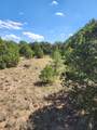TBD Pinion Ridge Drive - Photo 8