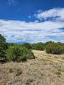 TBD Pinion Ridge Drive - Photo 9