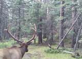 7760 Co Rd 363 (Doubloon 2) - Photo 55