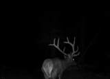 7760 Co Rd 363 (Doubloon 2) - Photo 56