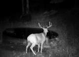 7760 Co Rd 363 (Doubloon 2) - Photo 60