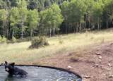  Tbd County Road 363 - Photo 37