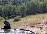  Tbd County Road 363 - Photo 41