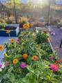 809 1/2 Montana St - Photo 43